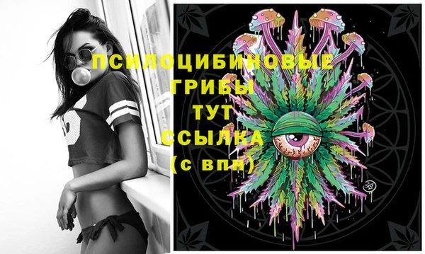 тгк Алзамай
