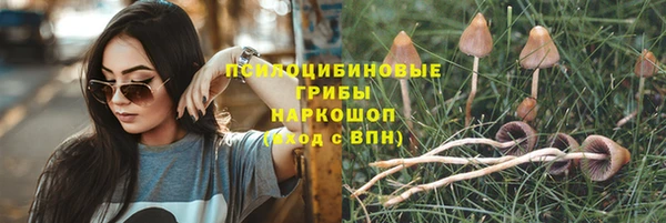 2c-b Алексин