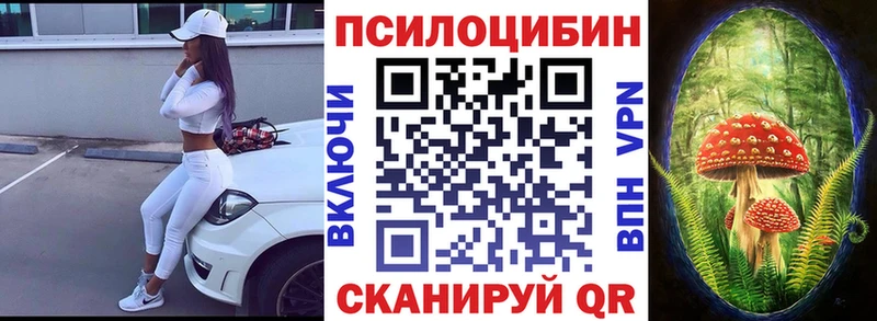 это Telegram  Красноармейск  Псилоцибиновые грибы мицелий 