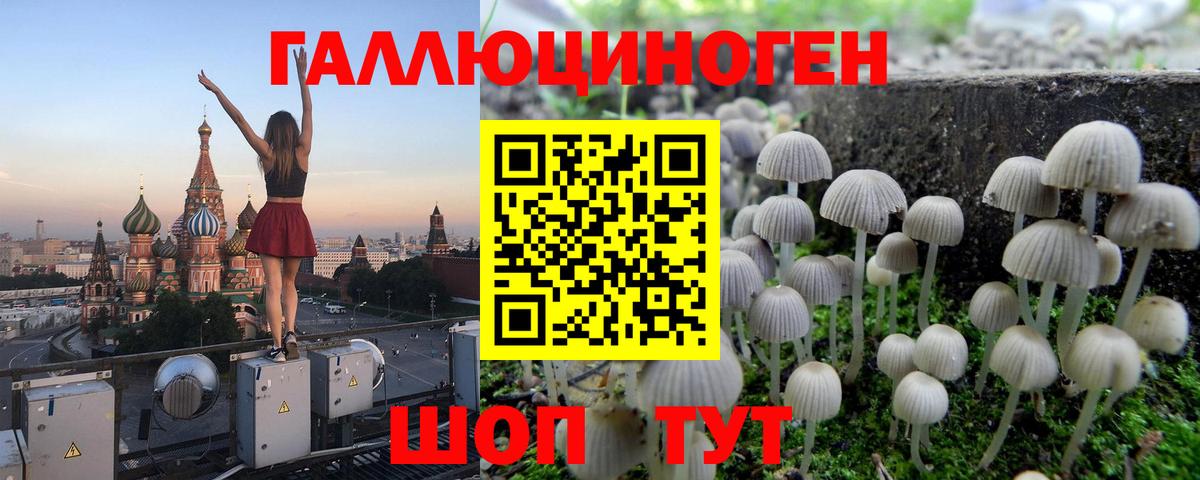 Галлюциногенные грибы Psilocybe  Вход с VPN  Красноармейск 